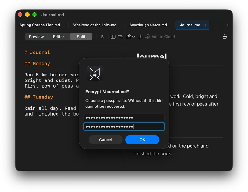 Markd.ly asks for a passphrase to encrypt Journal.md: “Choose a passphrase. Without it, this file cannot be recovered.” Both passphrase fields are filled in, with Cancel and OK below.
